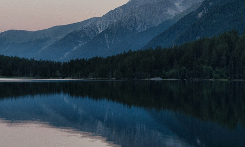 The Journey of Purity: From Source to Sip​