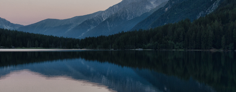The Journey of Purity: From Source to Sip​
